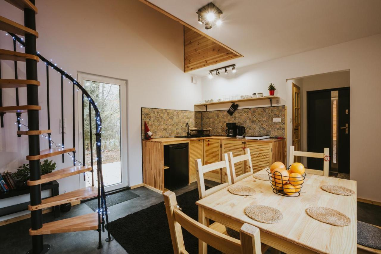Domki Rower-Narty-Lezak - Caloroczne, Niezalezne, Taras, Grill, Zadaszone Jacuzzi, Ognisko, Duzy Teren, Blisko Las, Trasy Rowerowe Single-Track, Piesze Wedrowki, Narty Świeradów-Zdrój Exterior foto
