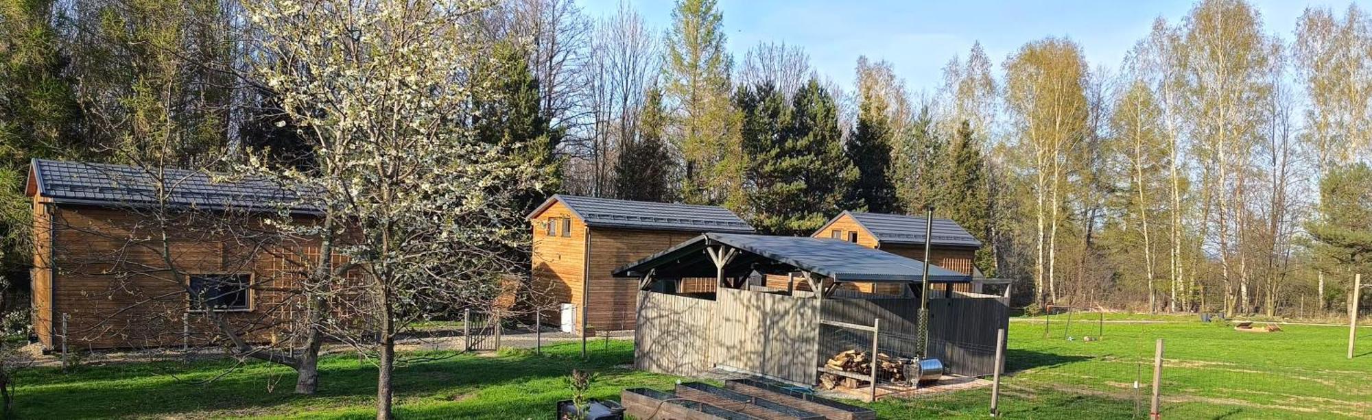 Domki Rower-Narty-Lezak - Caloroczne, Niezalezne, Taras, Grill, Zadaszone Jacuzzi, Ognisko, Duzy Teren, Blisko Las, Trasy Rowerowe Single-Track, Piesze Wedrowki, Narty Świeradów-Zdrój Exterior foto